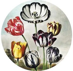 Fototapeta vliesová Tulipány 190 cm