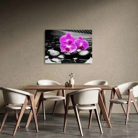 Sklenený obraz - Fialové orchidey (70x50 cm)