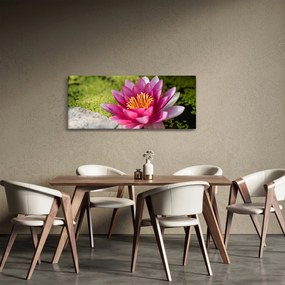 Obraz - Lekno (120x50 cm)