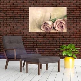 Obraz - Jemné ruže (90x60 cm)
