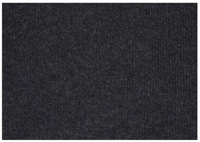 Aladin Holland carpets Rohožka Polo - 100x150 cm