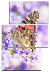 Obraz na plátne - Motýľ na levandule - obdĺžnik 7221D (105x70 cm)