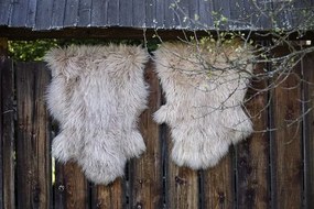 Ovčia kožušina slabo hnedá