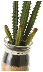Umelé rastliny v súprave 4 ks (výška 18 cm) Cactus – Casa Selección