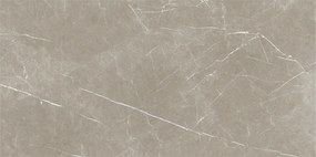 Dlažba Eternal Taupe Natural 60x120 R