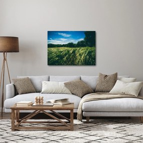 Obraz lúky a lesa (70x50 cm)