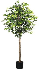 Umelá rastlina fikus drobnolistý Ficus benjamina 180 cm zelený 1008 listov prírodný kmeň v kvetináči 16 x 14 cm
