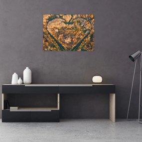 Obraz - Rieka v tvare srdca (70x50 cm)