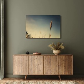 Obraz s trávou (90x60 cm)