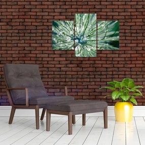 Obraz - Makro snímka kvetu (90x60 cm)