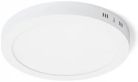 RED - Design Rendl - R12973 - LED Stropné svietidlo SOCORRO LED/24W/230V