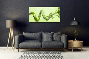 Obraz plexi Bambus rastlina príroda 100x50 cm