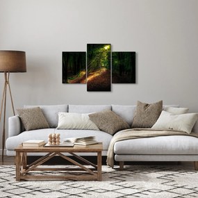 Obraz lesnej cesty (90x60 cm)