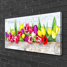 Obraz Canvas Tulipány kvety príroda 125x50 cm