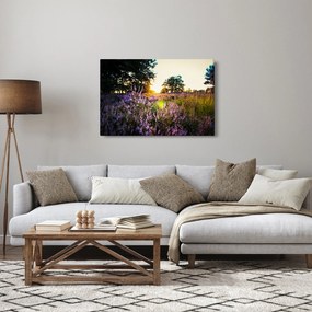 Obraz poľa levanduľou (90x60 cm)