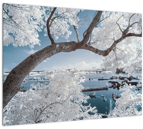 Sklenený obraz zasneženého stromu pri vode (70x50 cm)