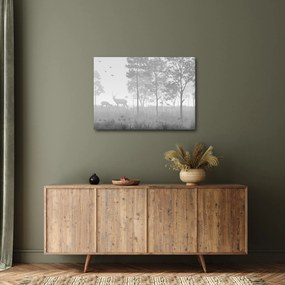 Obraz - Lúka s jeleňami (70x50 cm)