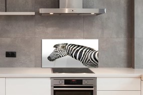 Nástenný panel  zebra 120x60 cm