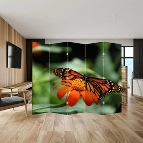 Paraván - Motýľ na kvetine (210x170 cm)