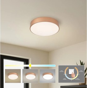 BRILAGI - LED stropné svietidlo POOL LED/36 W/230 V 3000/4000/6000 K, priemer 30 cm, bronzové