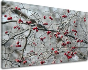 Obraz na stenu STROMY