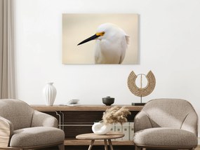 Artgeist Obraz - Snowy Egret (1 Part) Wide Veľkosť: 120x80, Verzia: Na talianskom plátne