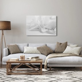 Obraz - Perie (90x60 cm)