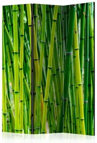 Paraván - Bamboo Forest [Room Dividers] Veľkosť: 135x172, Verzia: Obojstranný