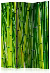 Paraván - Bamboo Forest [Room Dividers] Veľkosť: 135x172, Verzia: Jednostranný