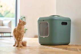Rotho Mačacia toaleta, krytý záchod pre mačky CAT XXL - zelená