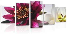 5-dielny obraz kvety v miske