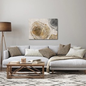 Obraz - Abstrakcia kmeňov (70x50 cm)