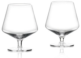 Poháre na likér v súprave 2 ks 450 ml Rocks - Zone