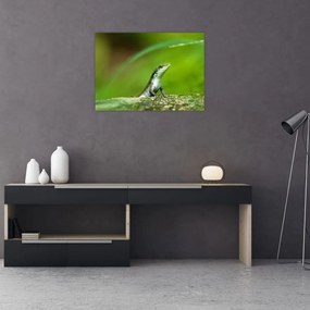 Sklenený obraz jašteričky (70x50 cm)