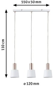 Paulmann 79657 - 3xE14/20W Luster na lanku NEORDIC HALDAR 230V