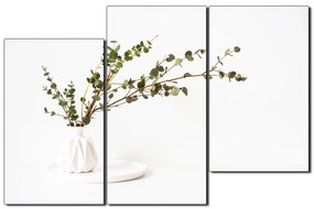 Obraz na plátne - Vetva eukalyptu v bielej váze na bielom pozadí 1272D (135x90 cm)