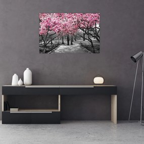 Obraz stromov Magnólie (90x60 cm)