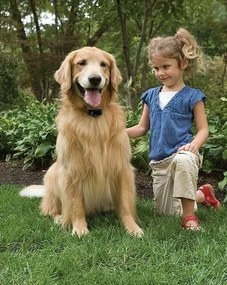PetSafe® Elektrický ohradník pre psy Basic