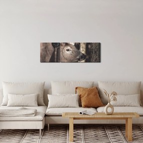 Obraz - Jeleň v lese (s hodinami) (90x30 cm)
