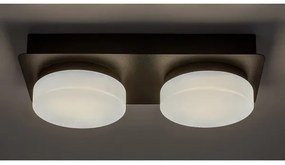 Rabalux 75002 - LED Stropné kúpeľňové svietidlo ATTICHUS 2xLED/5,5W/230V IP44