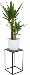 STOJAN NA KVETINÁČ SIMPLE 40X24X24 CM ČIERNA
