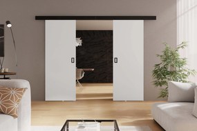 Posuvné dvere WERDI DUO | 192 cm Farba: Biela