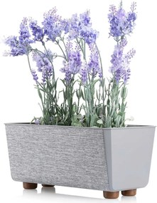 Truhlík s nožičkami Salvia 28,5x17 cm - výber z 8 prevedení