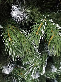 Borovica Lamia 3D- 170cm