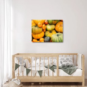 Sklenený obraz - Jesenná tekvica (70x50 cm)