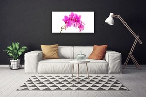 Obraz Canvas Vstavač kvet orchidea 125x50 cm