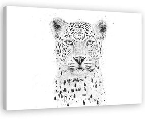 Gario Obraz na plátne Veľká leopardia hlava - Rykker Rozmery: 60 x 40 cm