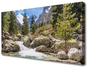 Obraz Canvas Hora les kamene rieka 140x70 cm
