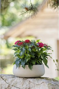 Dekoračná miska PERA, sklolaminát, Ø 27 cm, béžová