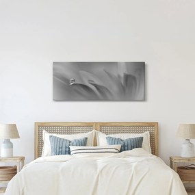 Obraz - Kvapka na kvete, čiernobiela (120x50 cm)